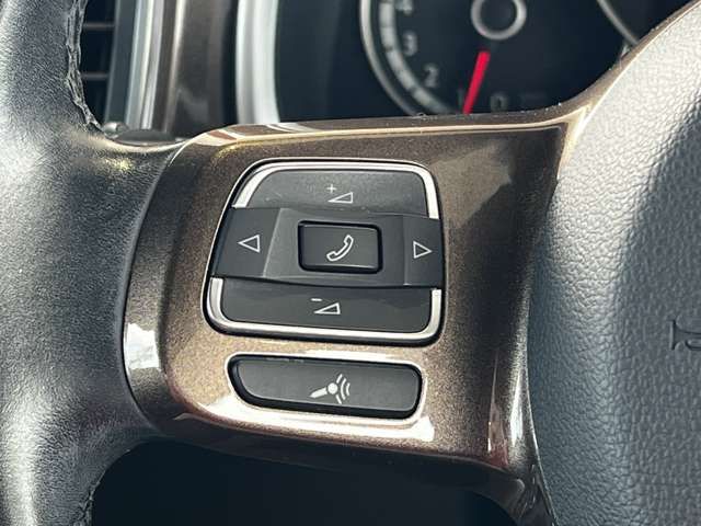 VolksWagen THE BEETLE 2014-12 20097-13
