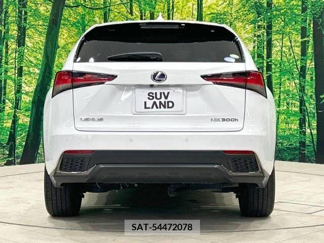Lexus NX 2018-11 388374-15