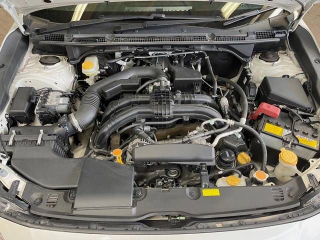 Subaru SUBARU 2017-11 196739-18