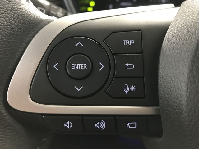 Toyota RAIZE 2021-05 14790-18