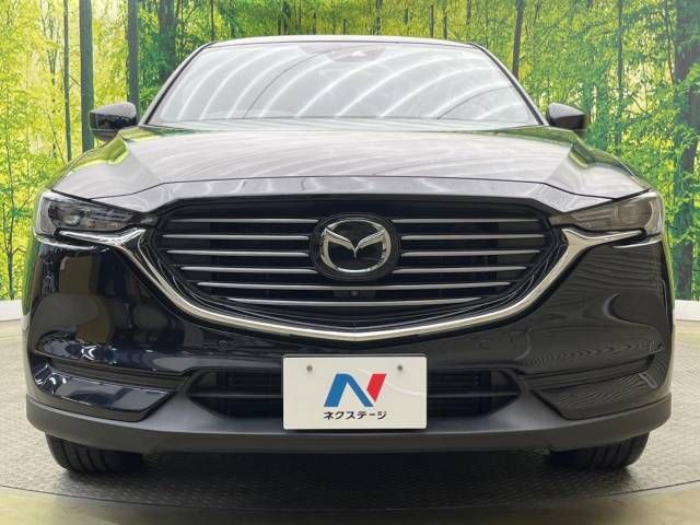 Mazda CX-8 2018-09 192394-14
