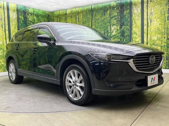 Mazda CX-8 2018-09 192394-16