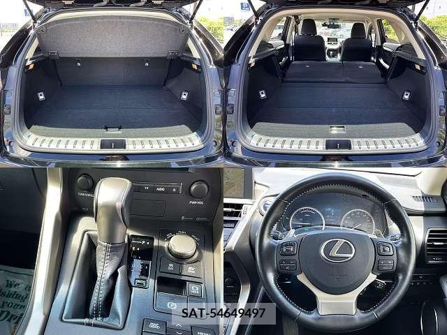 Lexus NX 2016-01 388209-6