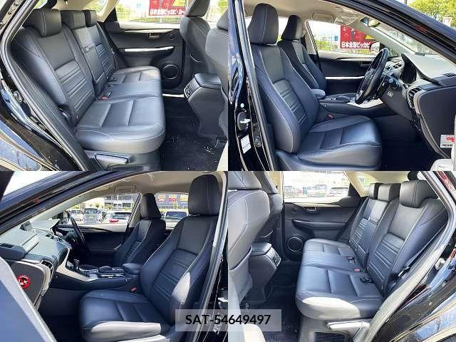 Lexus NX 2016-01 388209-5