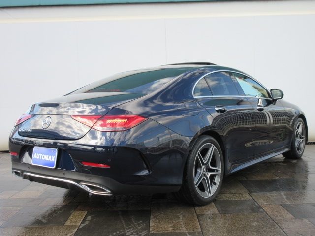 Mercedes Benz CLS-CLASS 2019-02 19887-2