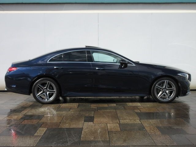 Mercedes Benz CLS-CLASS 2019-02 19887-4