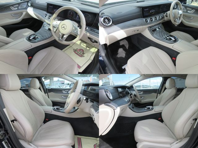 Mercedes Benz CLS-CLASS 2019-02 19887-9