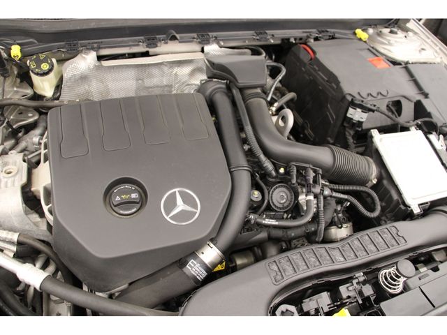 Mercedes Benz A-CLASS 2018-12 11014-29