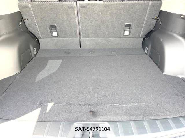 Subaru FORESTER 2019-03 242513-11