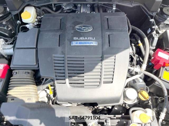 Subaru FORESTER 2019-03 242513-13