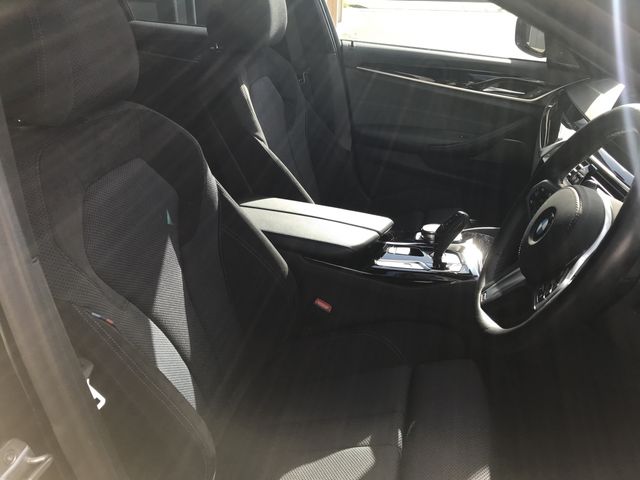 Bmw 5 SERIES 2019-04 15030-11