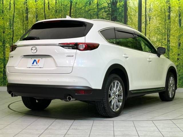 Mazda CX-8 2018-03 186999-17