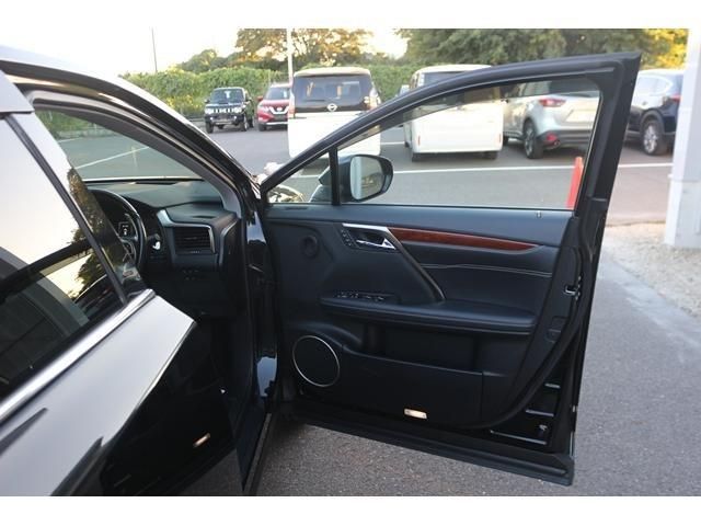 Lexus RX 2016-08 20187-9