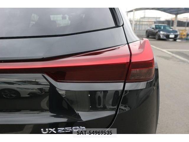 Lexus UX 2020-12 388110-10