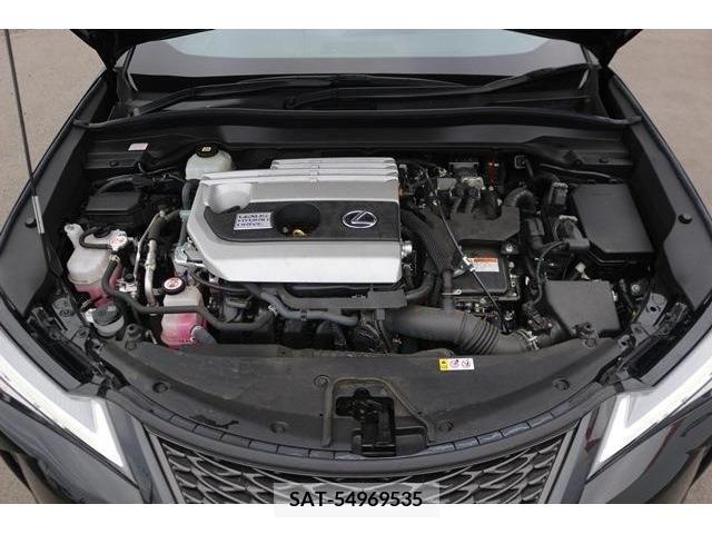 Lexus UX 2020-12 388110-17