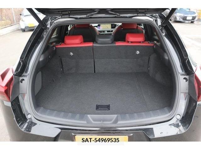Lexus UX 2020-12 388110-16