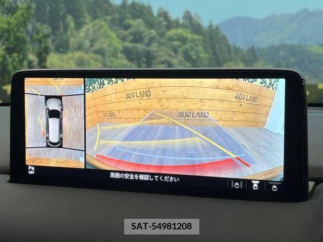 Mazda CX-8 2021-03 308576-3