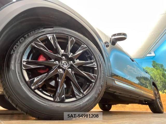 Mazda CX-8 2021-03 308576-13