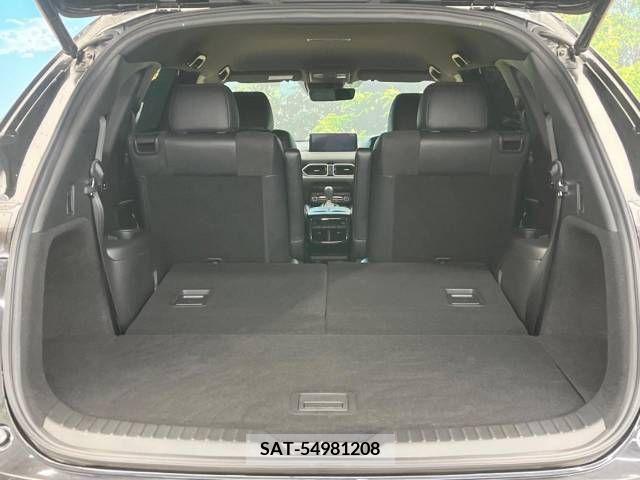 Mazda CX-8 2021-03 308576-11