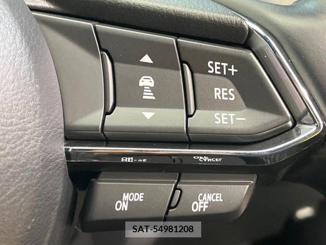 Mazda CX-8 2021-03 308576-5