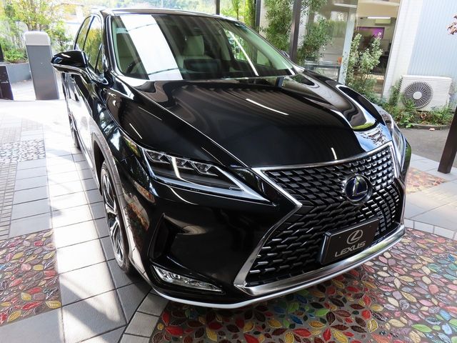 Lexus RX 2022-10 16040-9