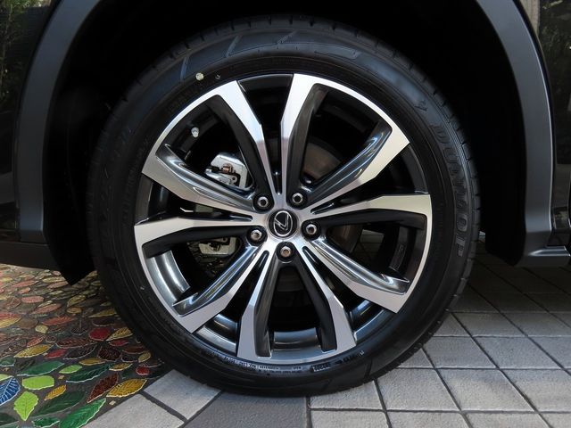 Lexus RX 2022-10 16040-13