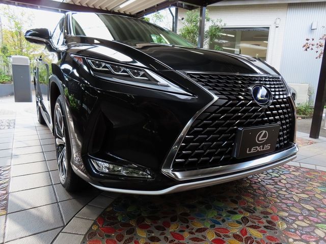 Lexus RX 2022-10 16040-0