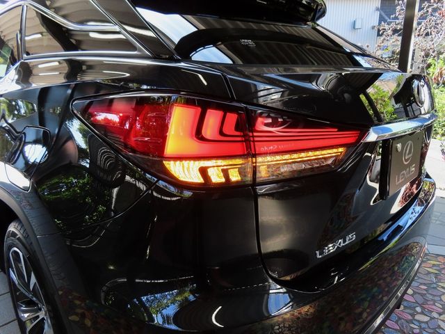 Lexus RX 2022-10 16040-6