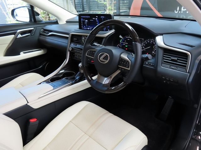Lexus RX 2022-10 16040-14