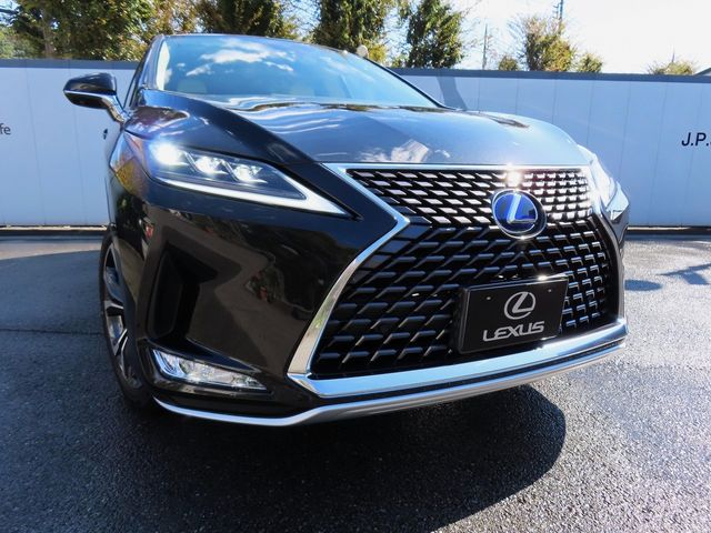 Lexus RX 2022-10 16040-29