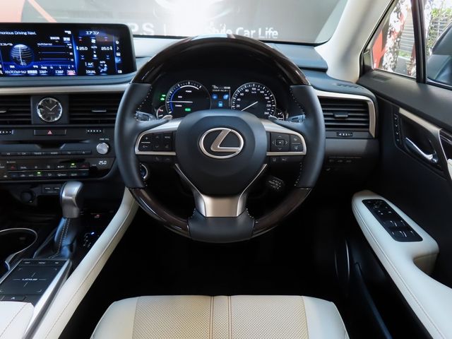 Lexus RX 2022-10 16040-19