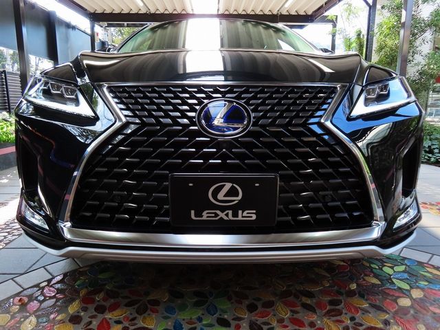 Lexus RX 2022-10 16040-3