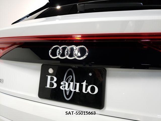 Audi Q8 2019-12 223198-8