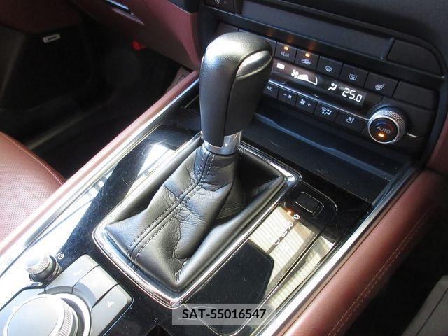 Mazda CX-8 2021-03 390277-18