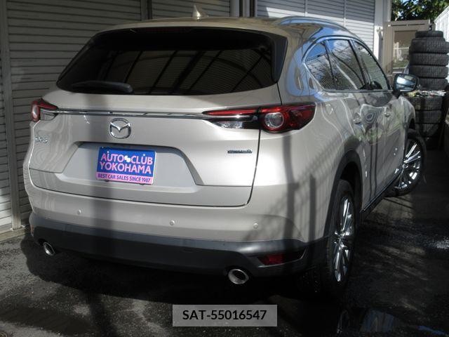 Mazda CX-8 2021-03 390277-13