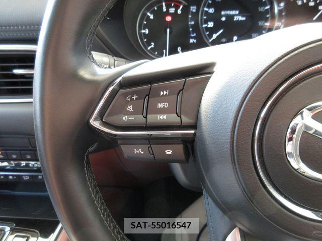 Mazda CX-8 2021-03 390277-22