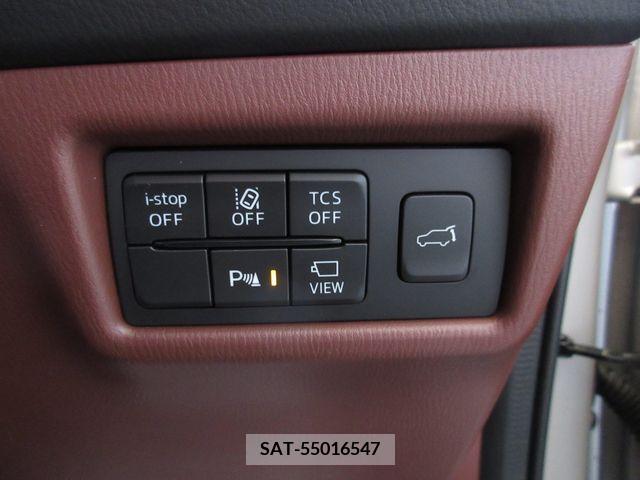 Mazda CX-8 2021-03 390277-24