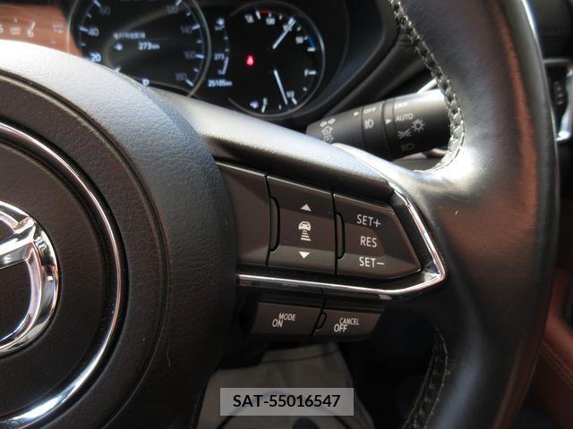 Mazda CX-8 2021-03 390277-23