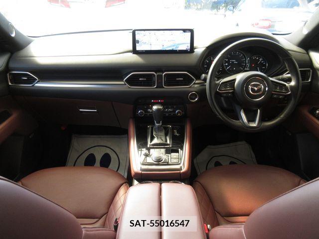 Mazda CX-8 2021-03 390277-15