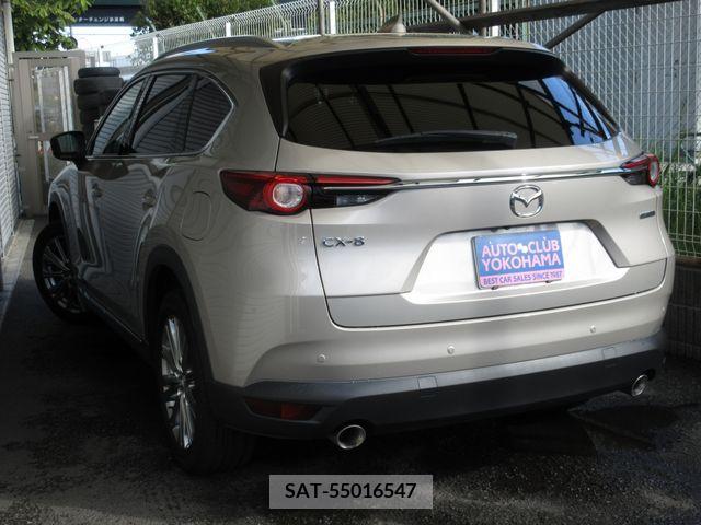 Mazda CX-8 2021-03 390277-12