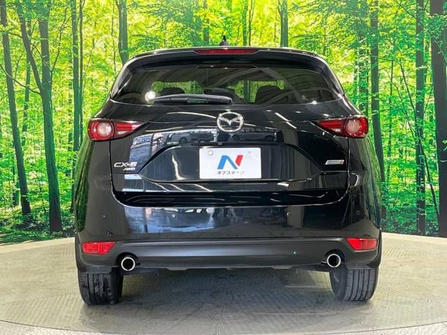 Mazda CX-5 2017-03 8961-15