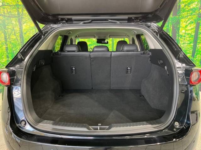 Mazda CX-5 2017-03 8961-10