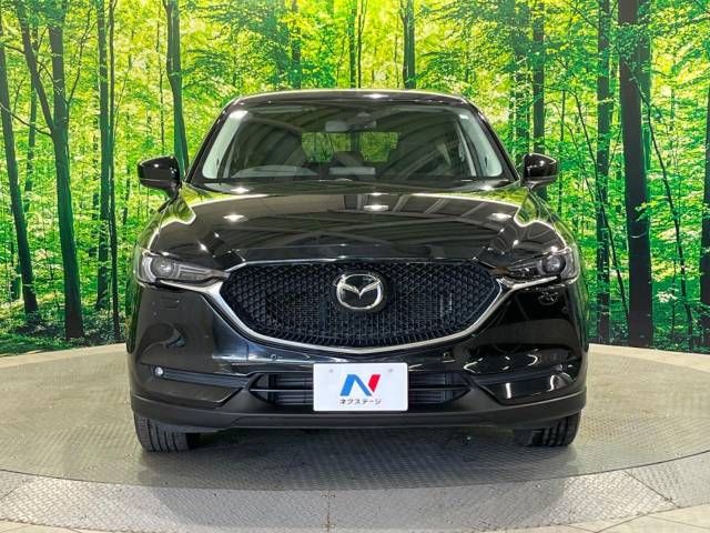 Mazda CX-5 2017-03 8961-14
