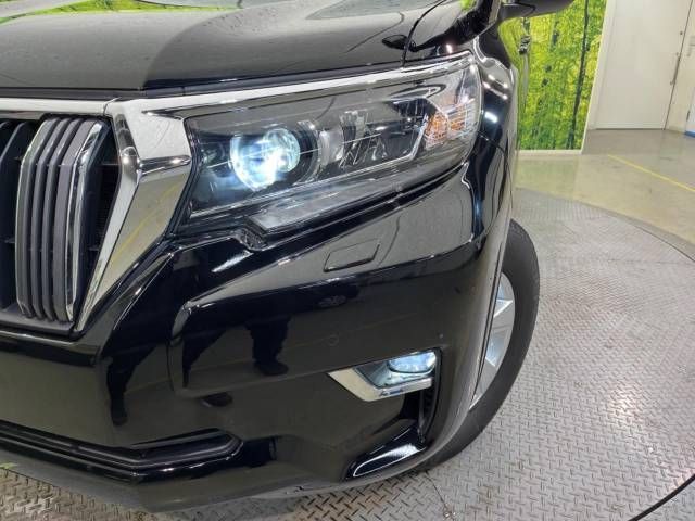 Toyota PRADO 2019-03 11795-13
