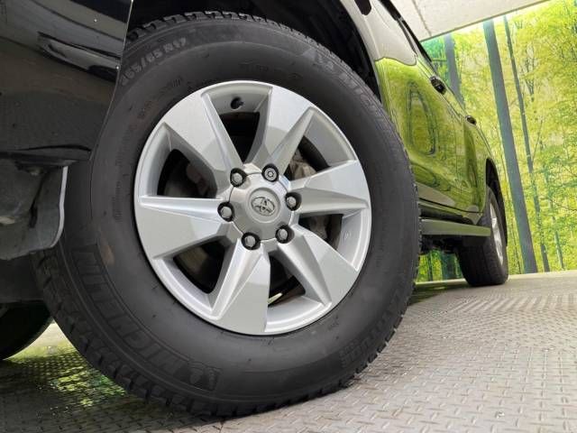 Toyota PRADO 2019-03 11795-14
