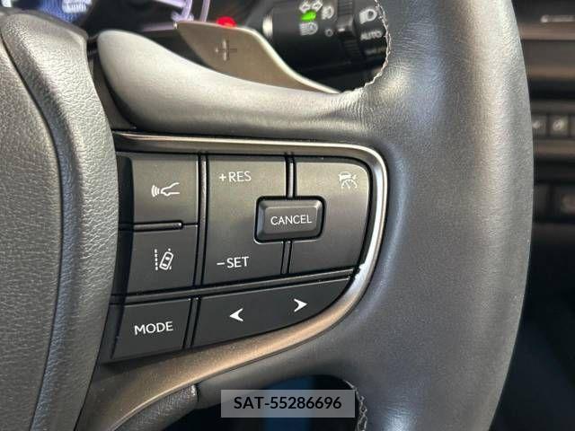 Lexus UX 2021-03 275895-6