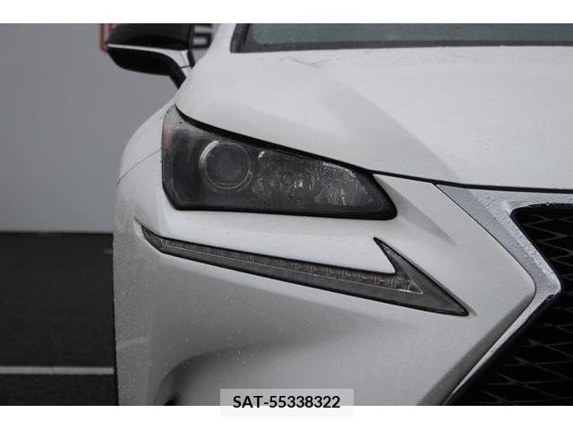 Lexus NX 2014-11 275602-12