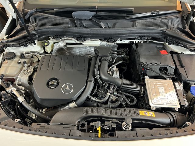 Mercedes Benz B-CLASS 2019-08 185786-13
