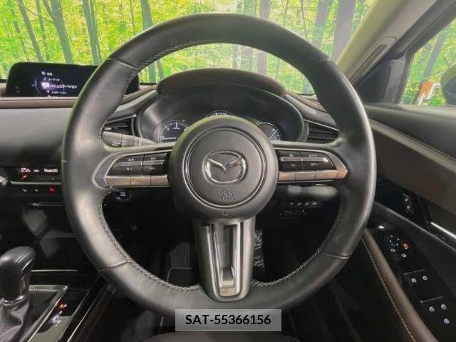 Mazda CX-30 2022-01 265618-11