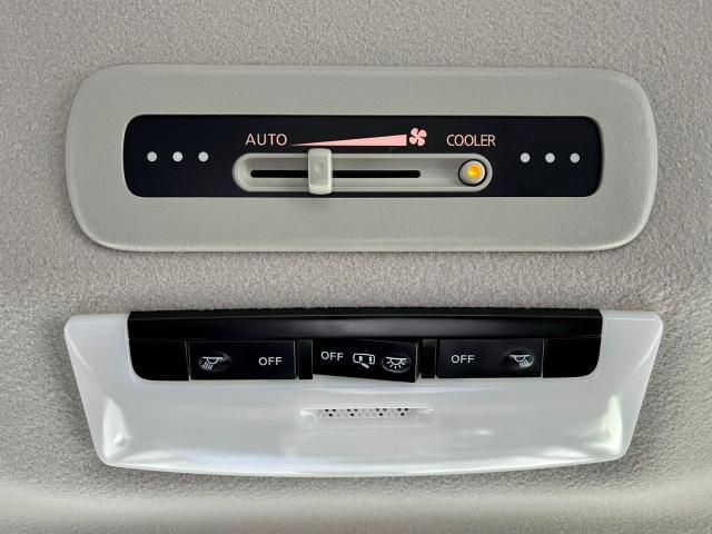 Nissan SERENA 2019-01 190778-20